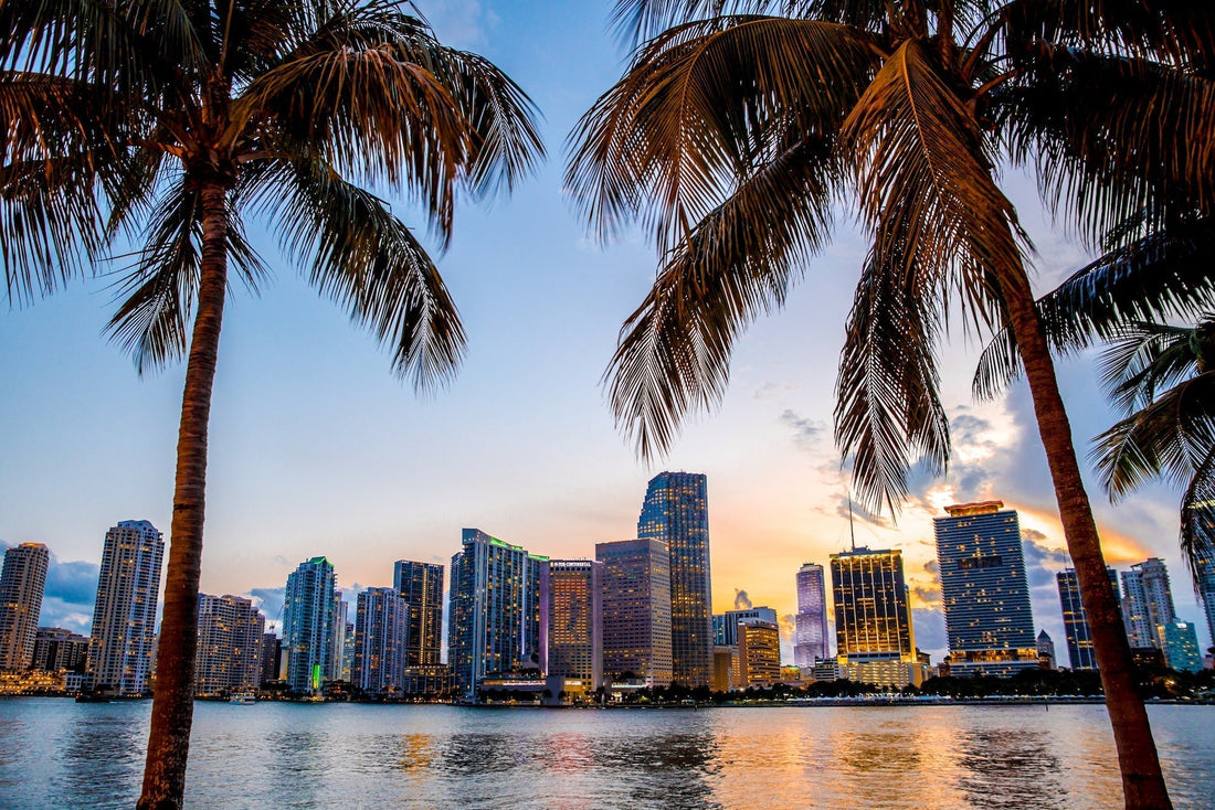 ZOR Is Heading to the Miami Fit Expo – Let’s Meet IRL!