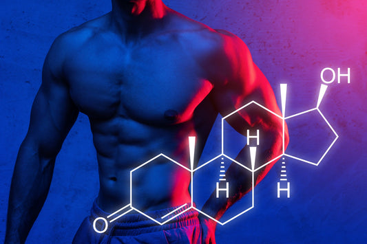 The Role of Testosterone in Muscle Growth and Athletic Performance